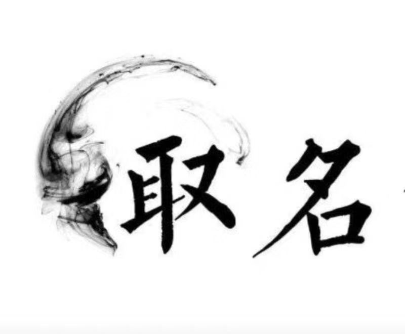  大悟宝宝取名 大师一对一人工起名