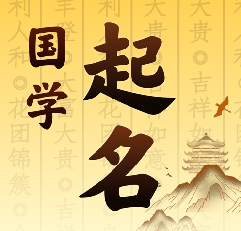 大悟国学起名 人工起名一对一