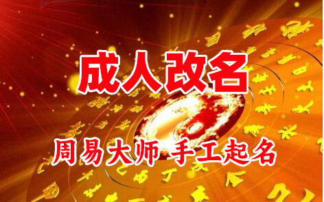 大悟成人改名-找大师一对一改名先分析后改名